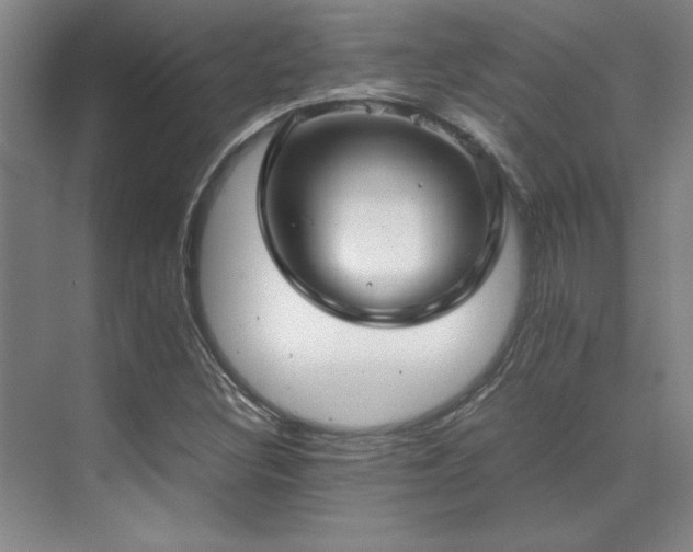 X0000071951308200607071159