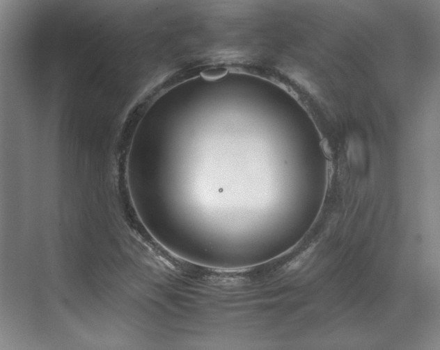 X0000071951309200607071159