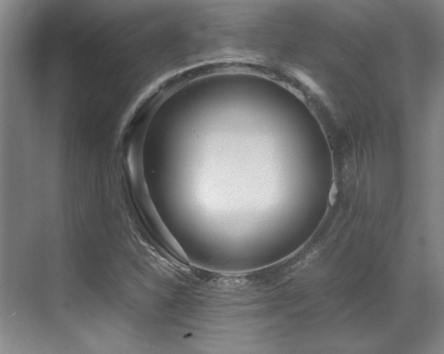 X0000071951310200607071159