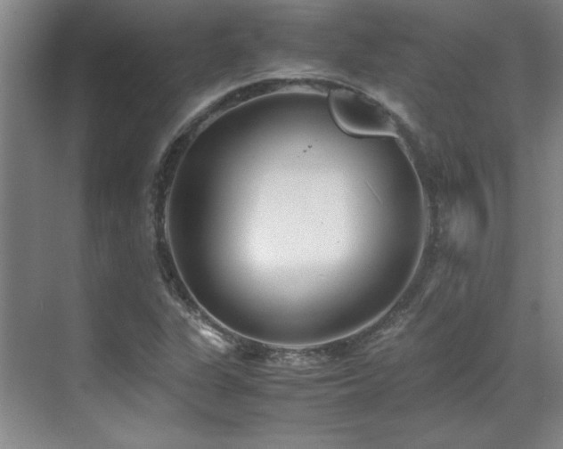 X0000071951311200607071159