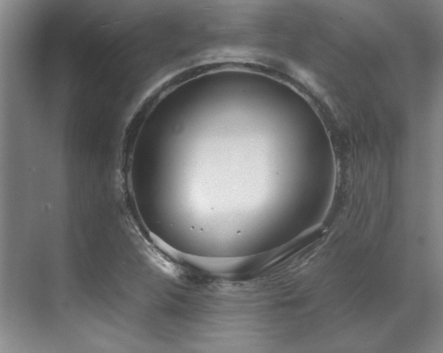 X0000071951312200607071159