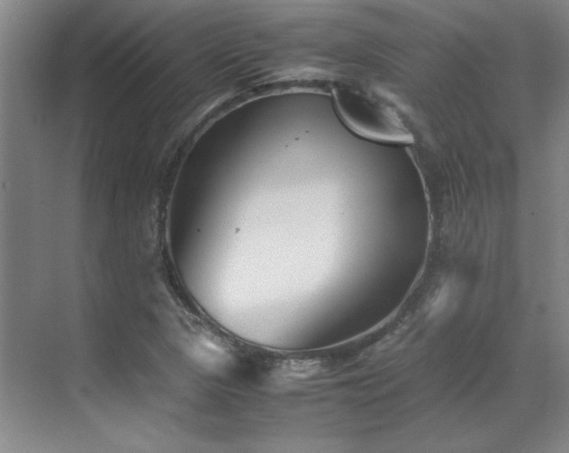 X0000071951313200607071200