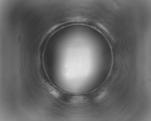 X0000071951315200607071200