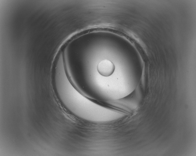 X0000071951316200607071200