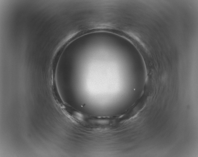 X0000071951317200607071200