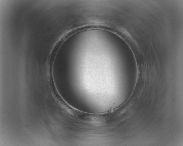 X0000071951318200607071200