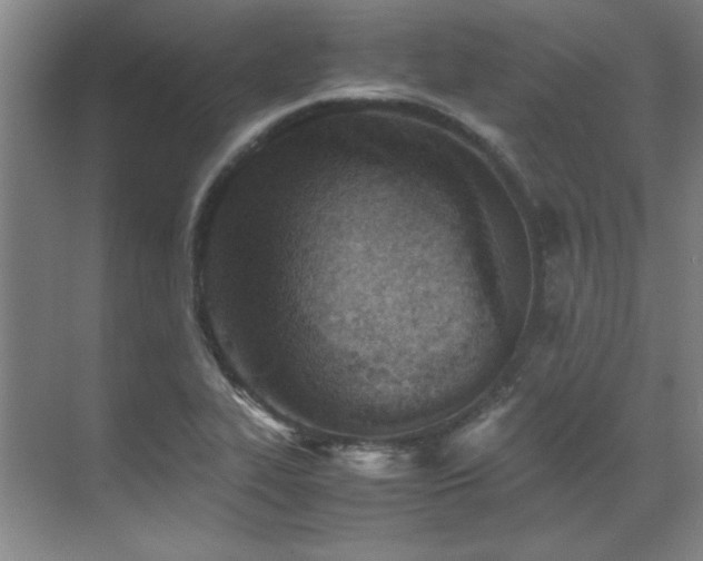 X0000071951319200607071200