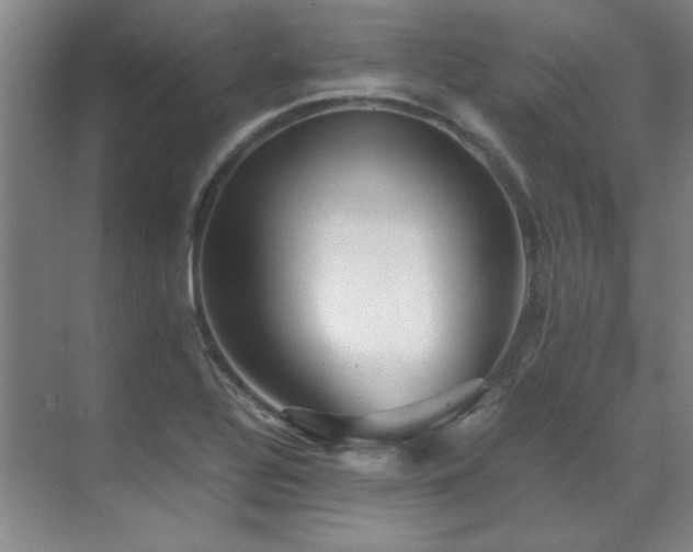 X0000071951320200607071200