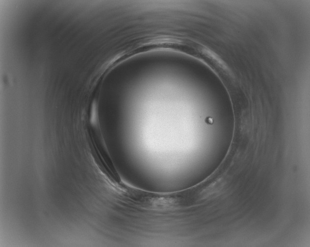 X0000071951321200607071200