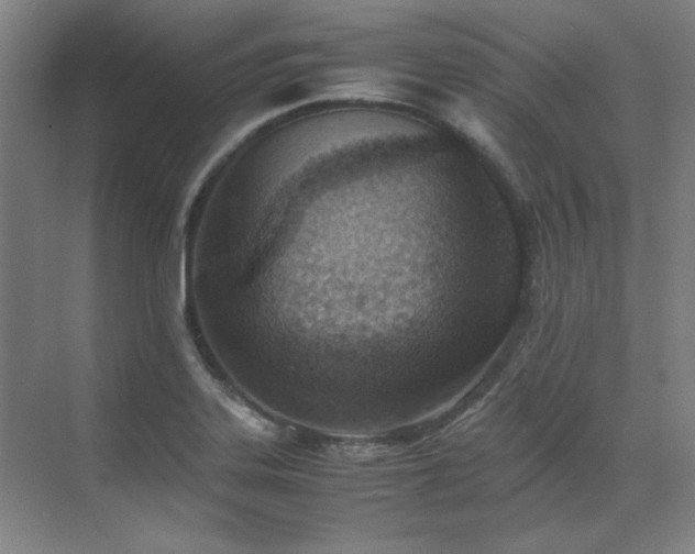 X0000071951323200607071200