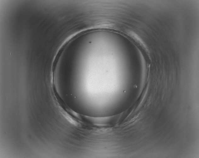 X0000071951324200607071200