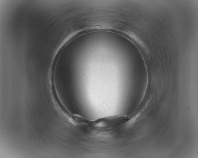 X0000071951325200607071200