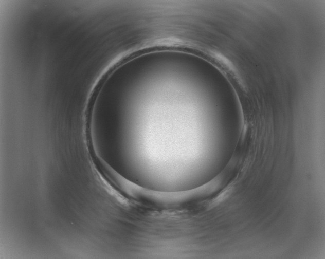 X0000071951326200607071200