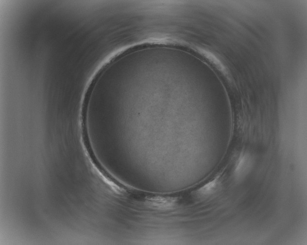 X0000071951327200607071200