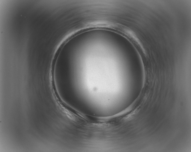 X0000071951328200607071200