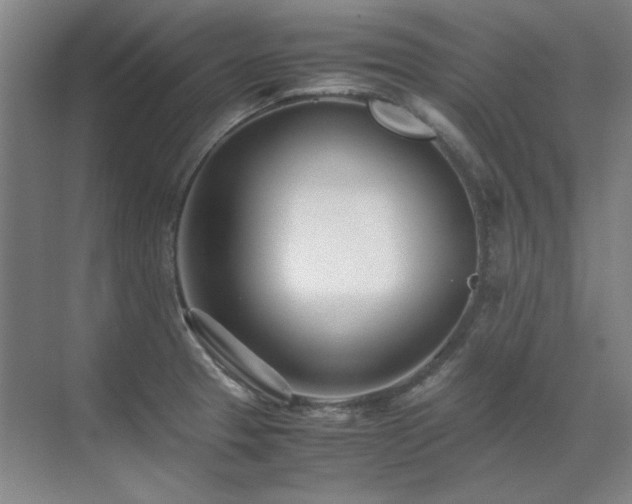 X0000071951329200607071200