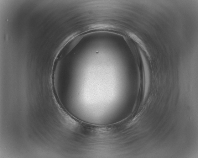 X0000071951330200607071200