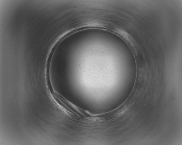 X0000071951331200607071200