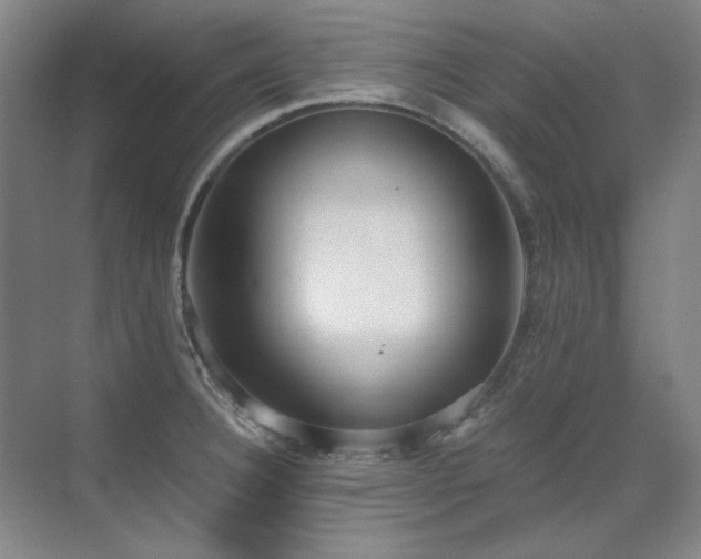 X0000071951332200607071200