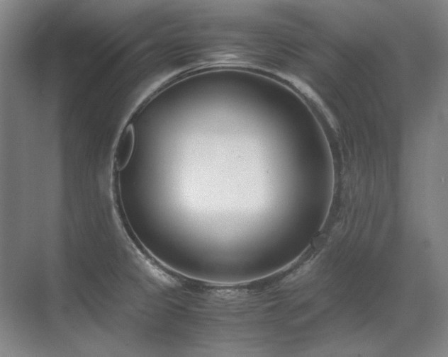 X0000071951333200607071200