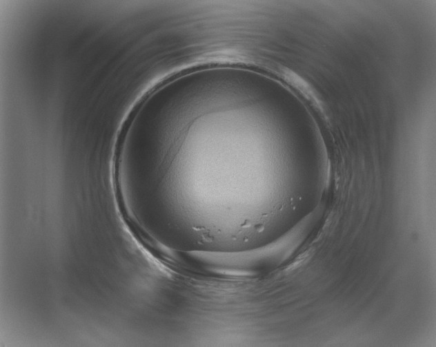 X0000071951334200607071200