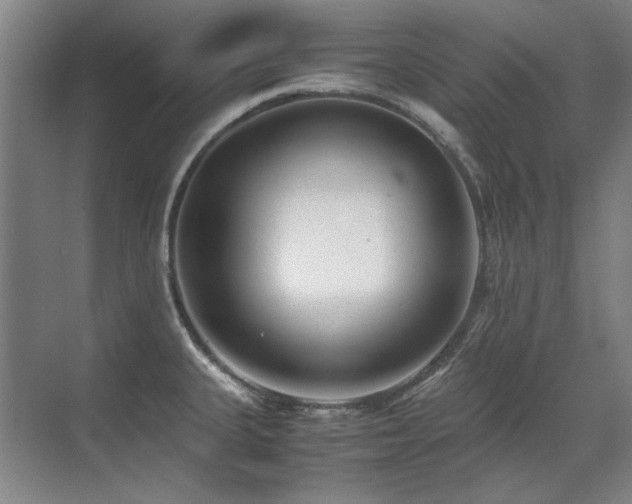 X0000071951335200607071200