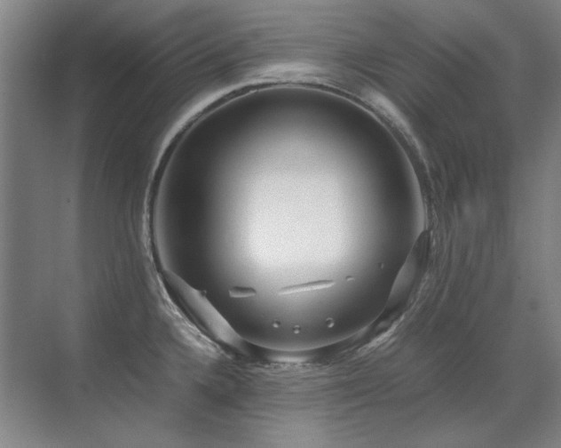 X0000071951336200607071200