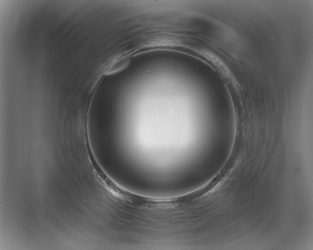 X0000071951337200607071200