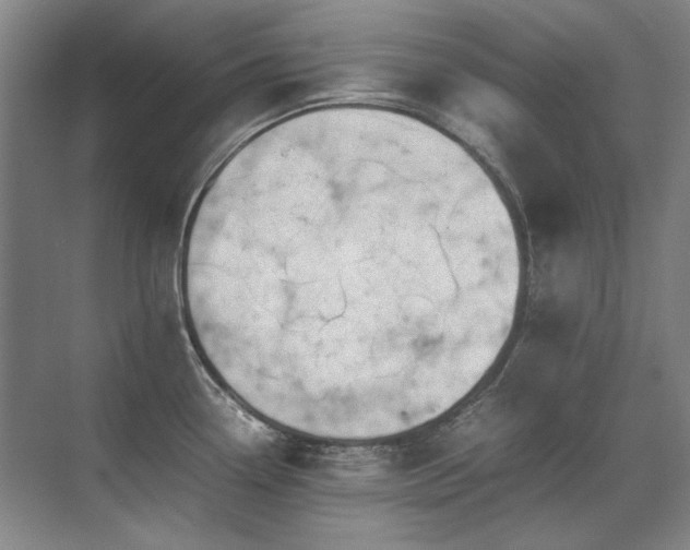 X0000071951338200607071200