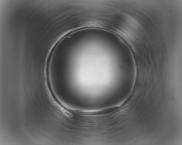 X0000071951339200607071200