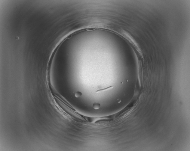 X0000071951340200607071200