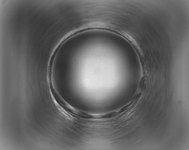 X0000071951342200607071200