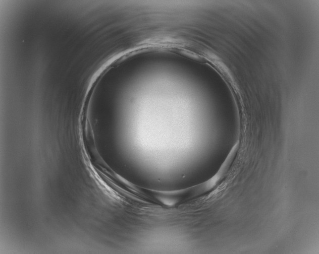 X0000071951344200607071200