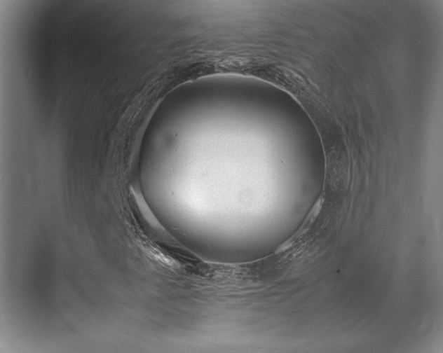 X0000071951345200607071159