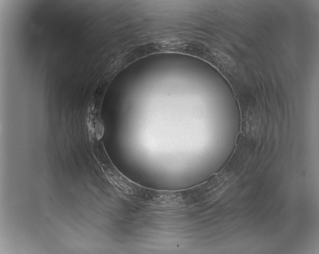 X0000071951346200607071159