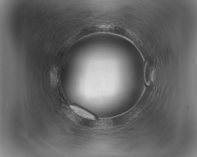 X0000071951347200607071159