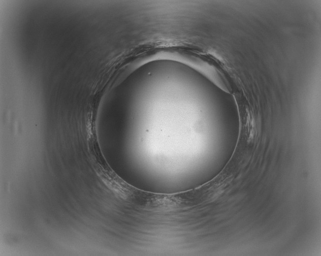 X0000071951348200607071159