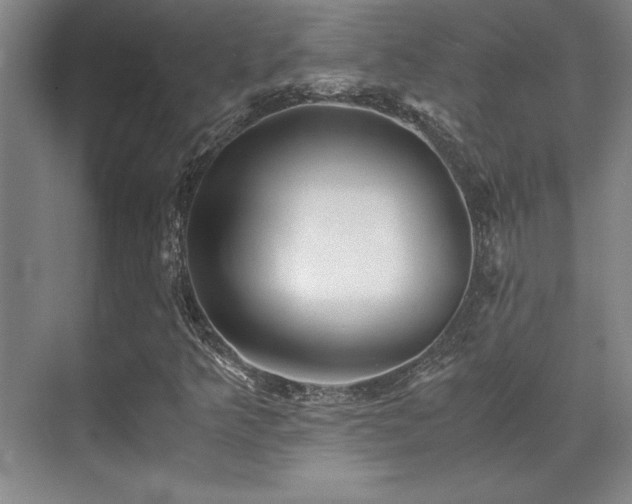 X0000071951349200607071159