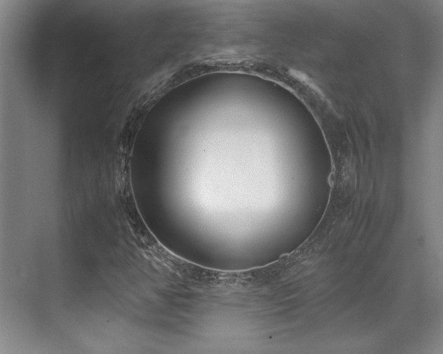 X0000071951350200607071159