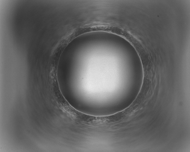 X0000071951351200607071159