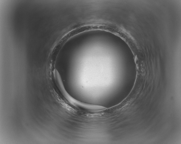 X0000071951352200607071159