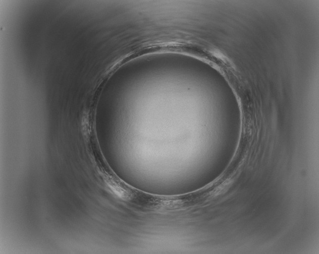 X0000071951353200607071159