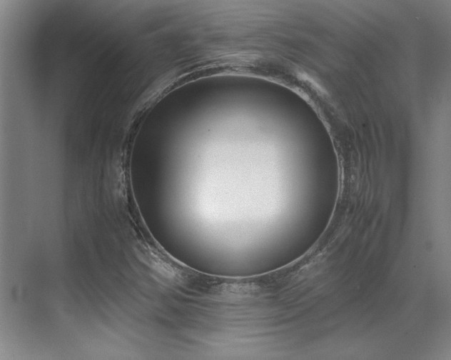 X0000071951354200607071159