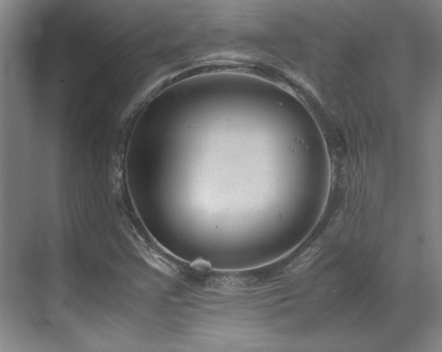 X0000071951355200607071159