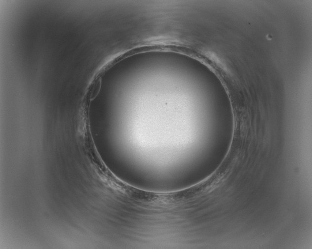 X0000071951358200607071159