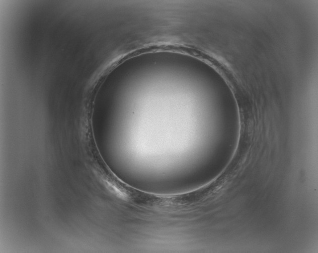 X0000071951359200607071159