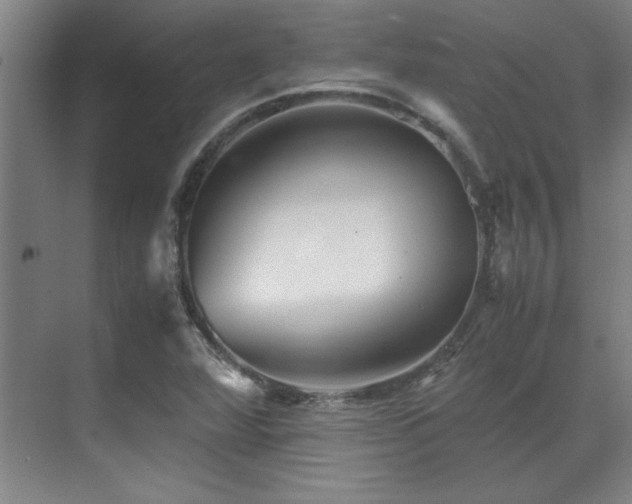 X0000071951360200607071159