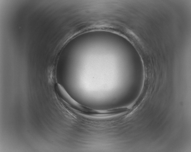 X0000071951361200607071159