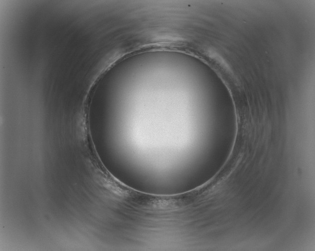 X0000071951362200607071159