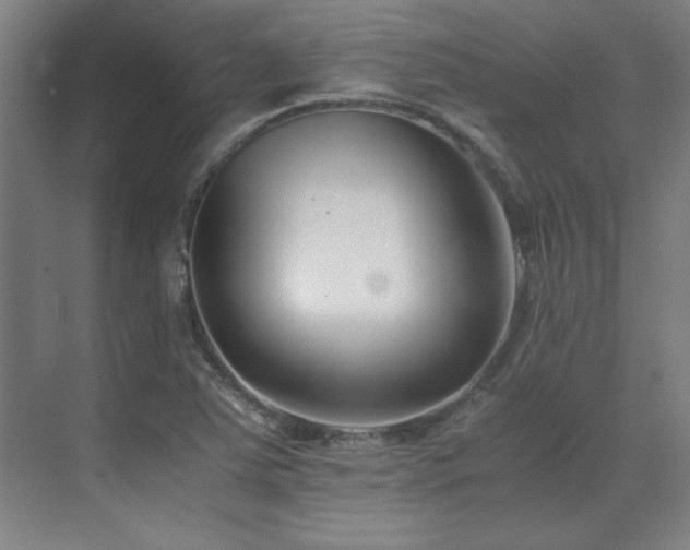 X0000071951363200607071159